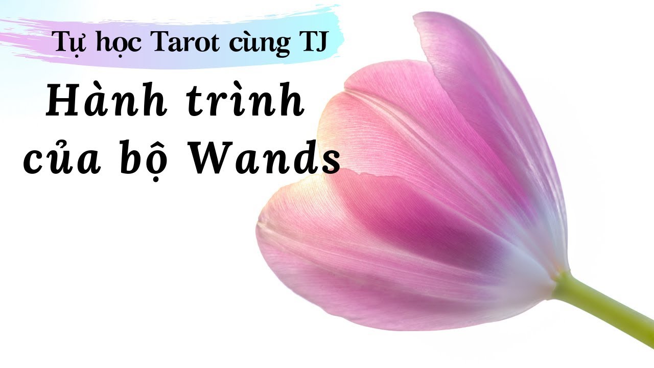 Tarot Journal - Tự học Tarot cùng TJ - Hành trình của bộ Wands