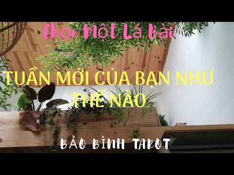 CHỌN MỘT LÁ BÀI: THÔNG ĐIỆP CHO TUẦN MỚI