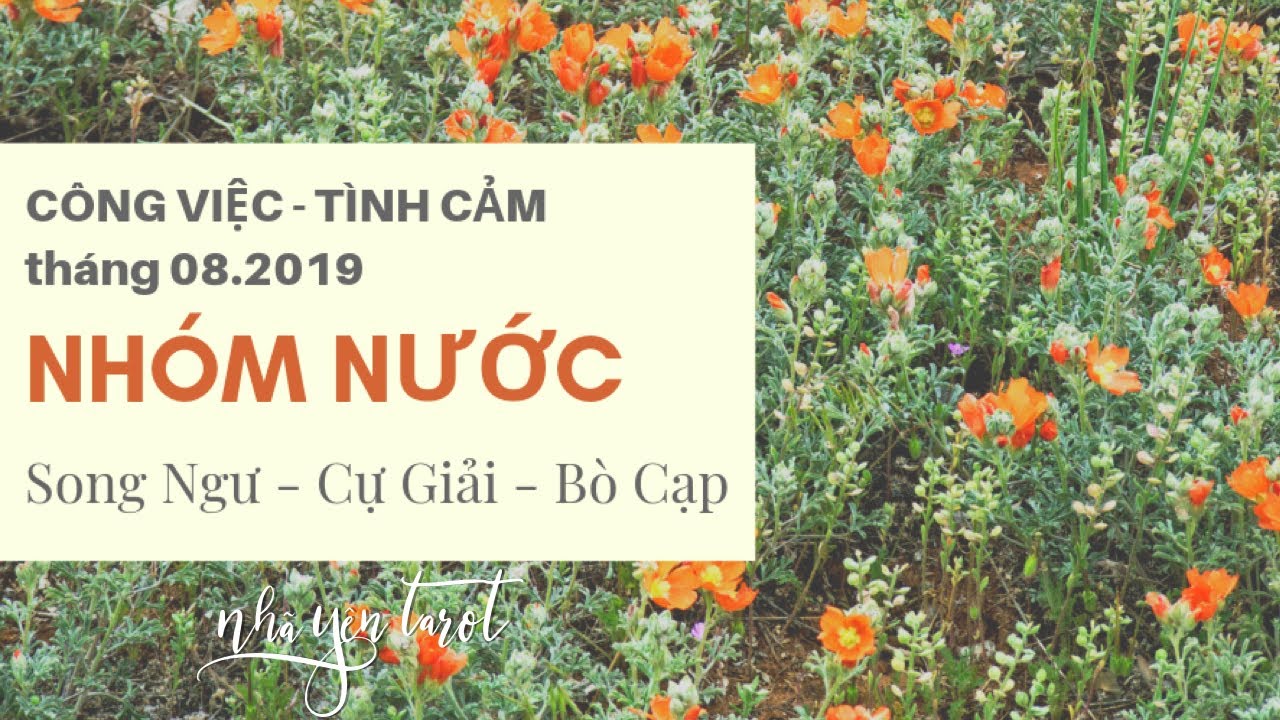 NHÓM NƯỚC (SONG NGƯ - CỰ GIẢI - BỌ CẠP). DỰ ĐOÁN TÌNH CẢM - CÔNG VIỆC THÁNG 08/2019