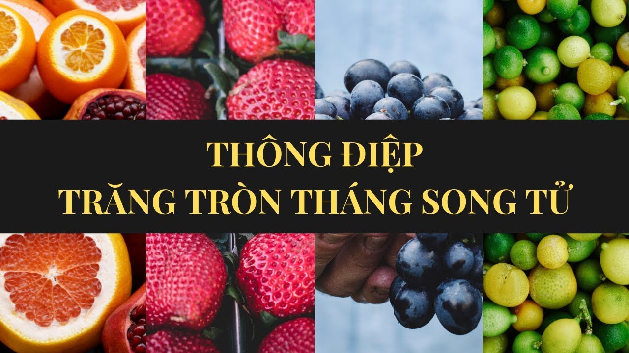 Tarot Journal - Thông điệp trăng tròn tháng Song Tử