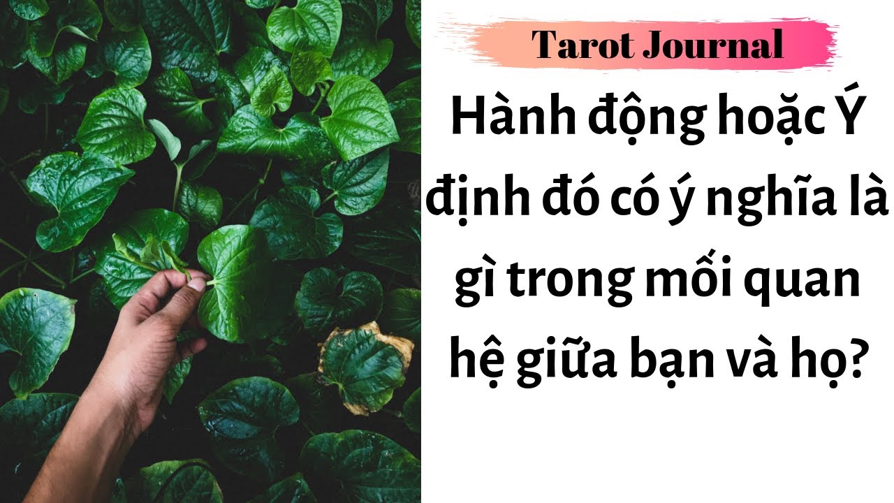 Tarot Journal - Hành động/Ý định đó có ý nghĩa là gì trong mối quan hệ giữa bạn và họ?