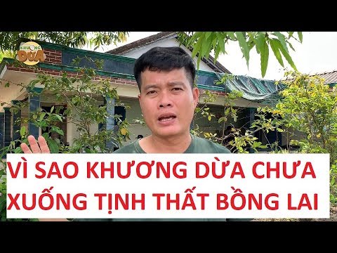 Vì sao Khương Dừa chưa xuống Tịnh Thất Bồng Lai thăm 5 chú tiểu?