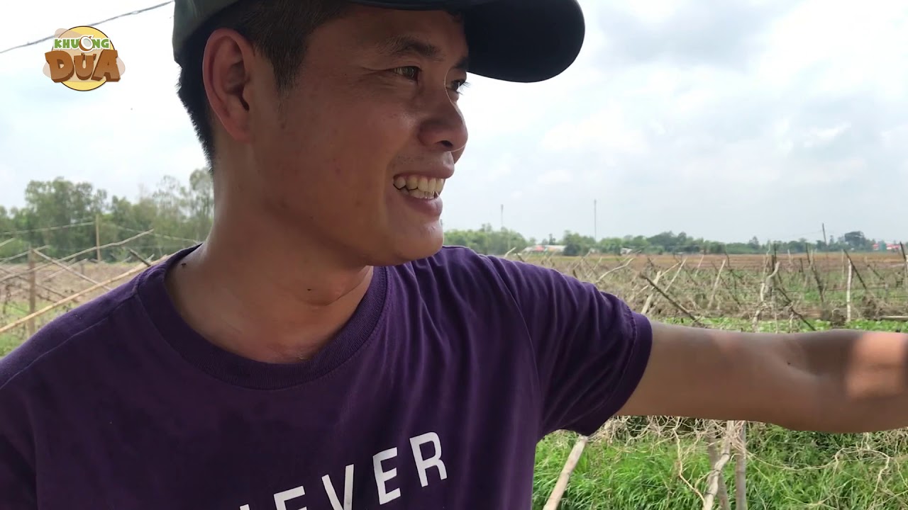 "Quậy nát" cánh đồng An Giang tìm nguyên liệu nấu món canh chua kinh điển miền Tây!!!